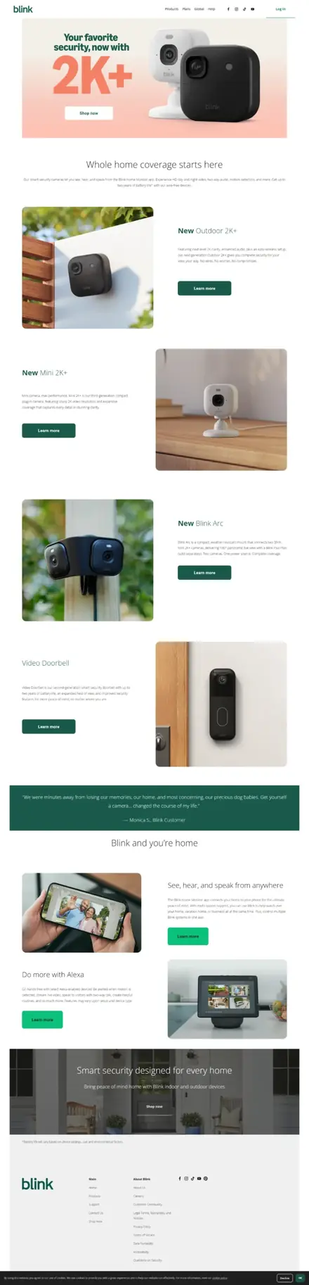 Blink for Home website, ecommerce websites