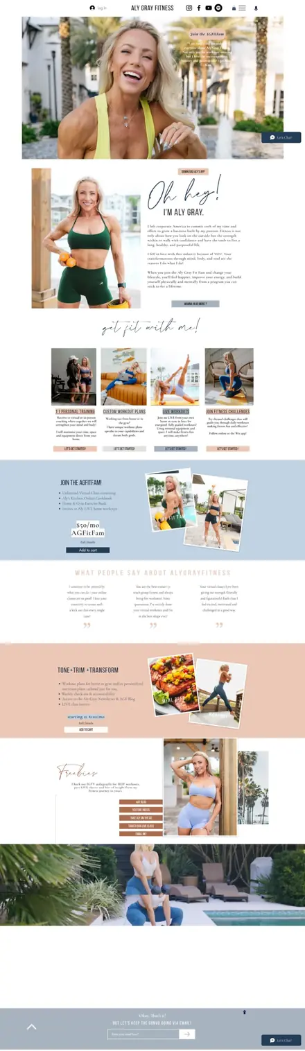 Aly Gray Fitness website, healthcare websites