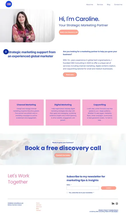 CBO Consulting website, businesses and consultants