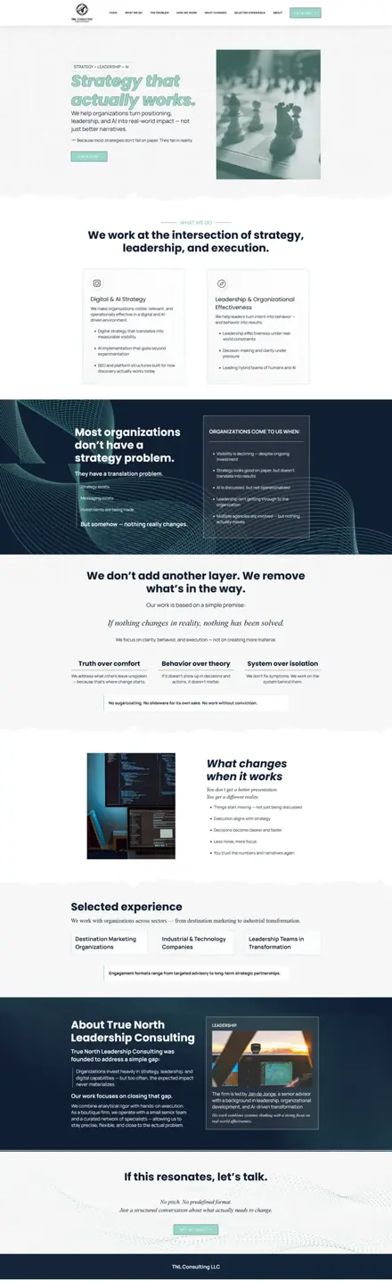 TNL Strategy website, businesses and consultants