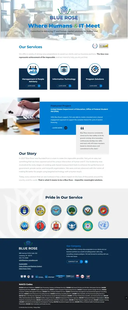 Bluerose Consulting website, businesses and consultants